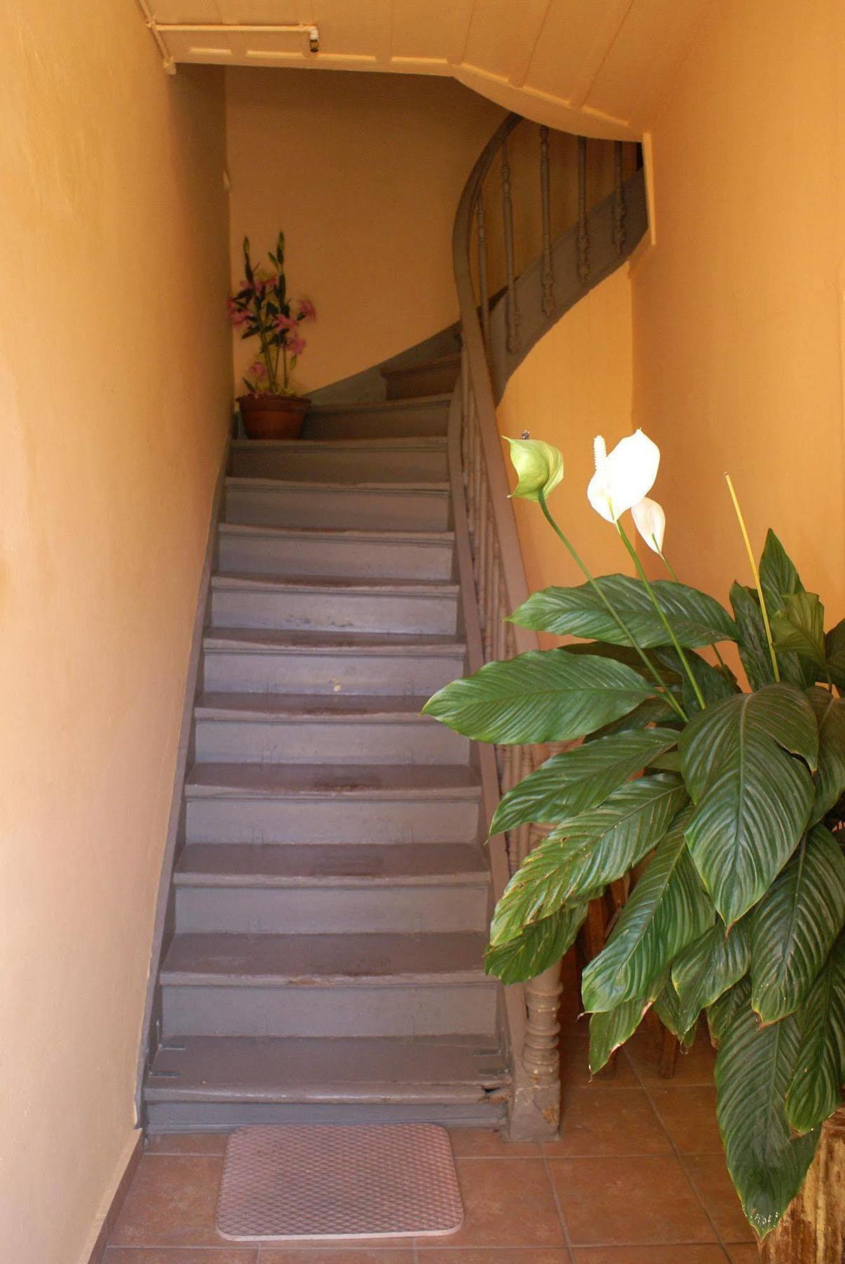 Kydonia Rooms خانيا المظهر الخارجي الصورة